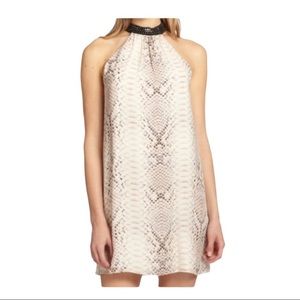 Haute Hippie snakeskin dress. Stud neckline